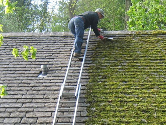 démoussage toiture Lille Croix 59000