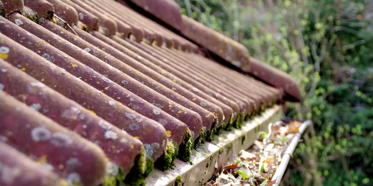 nettoyage gouttière et chéneau à Cambrai
